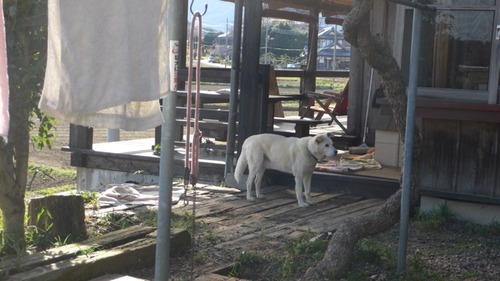 2013-03-24 20:59:49 写真1