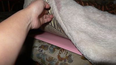 P1290754_resize1