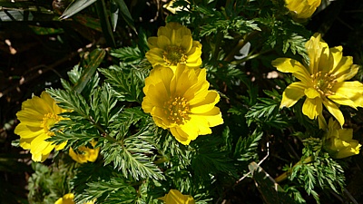 4752af27.jpg