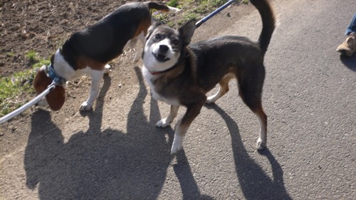 2013-03-24 20:59:49 写真5