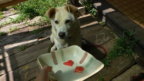 2012-09-18 09:59:05 写真1