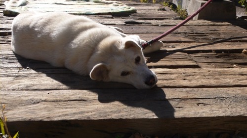 2013-01-05 16:36:18 写真7