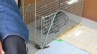 541343b7.jpg
