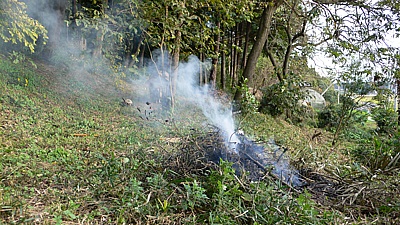 55cb4d70.jpg