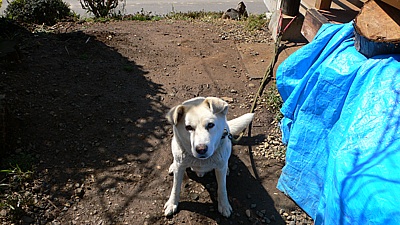 56847f7c.jpg
