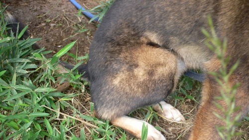 2012-10-04 19:59:11 写真10
