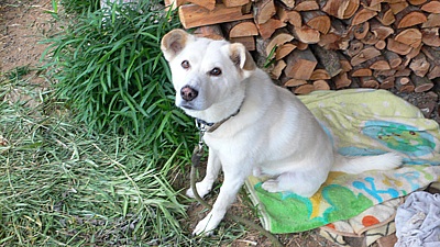 578651de.jpg