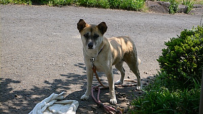 5806872e.jpg