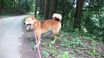 5a498739.jpg