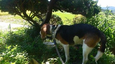 P1280845_resize1