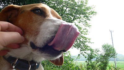 5d8e0676.jpg