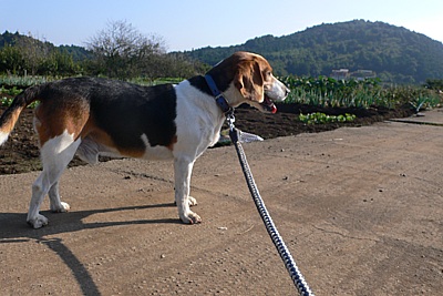 5efa6d90.jpg