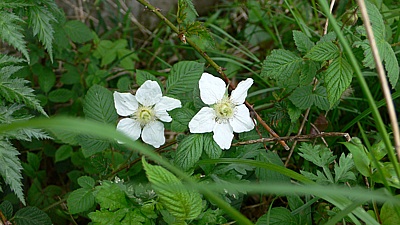 61ec7768.jpg
