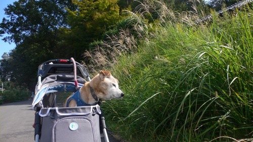 2013-03-24 21:06:16 写真1