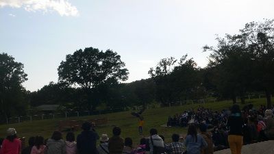 P1290200_resize1