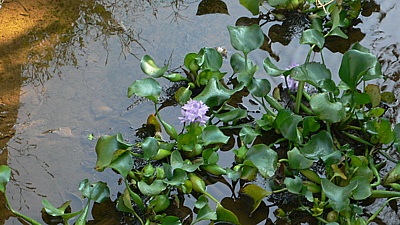 6572c41c.jpg
