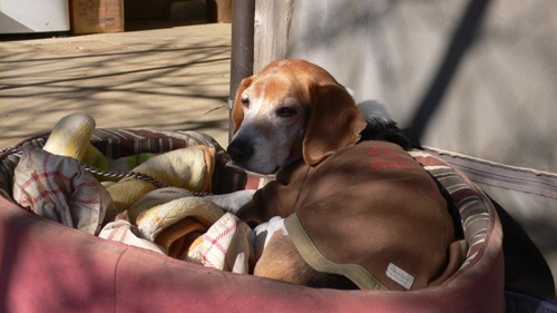 2013-01-05 16:36:18 写真9