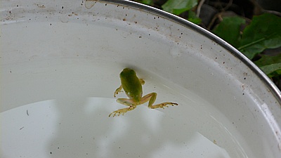 67c832d6.jpg