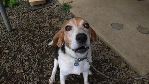 2012-10-04 19:59:11 写真12
