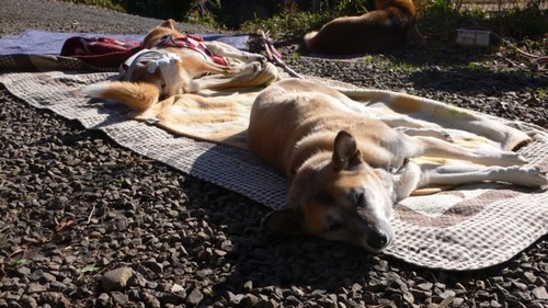 2013-01-05 16:36:18 写真4