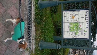 P1280682_resize1