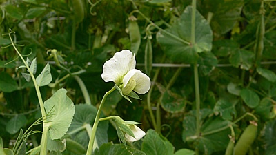 6c3d7354.jpg