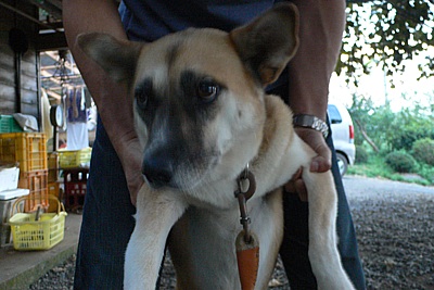 6d17b650.jpg