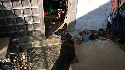 6d94a1ba.jpg
