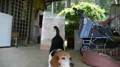 P1250580_resize1