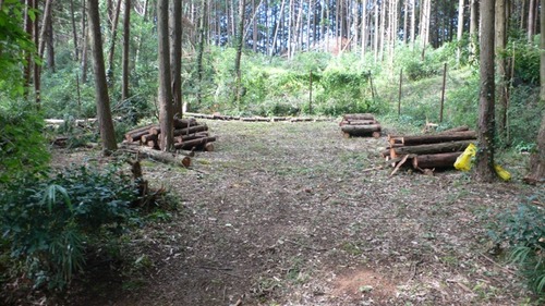 2012-10-04 19:59:11 写真8