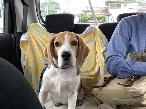 C3AE8EDF-5B96-4284-BFE7-7A3CAA4EB208