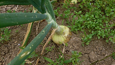 772c4898.jpg