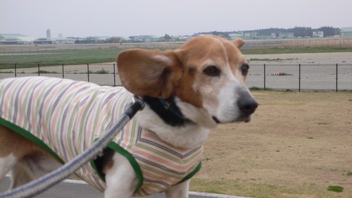 2013-04-17 20:27:10 写真10