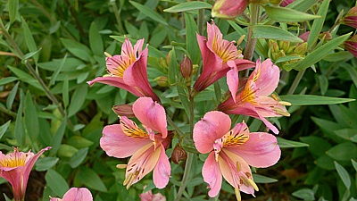 7903e68c.jpg