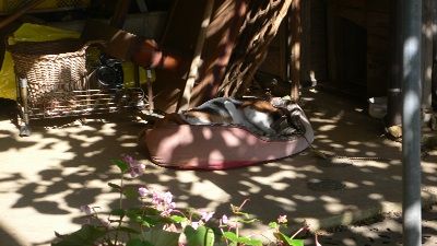 P1290111_resize1