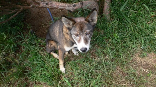 2012-10-04 19:59:11 写真9