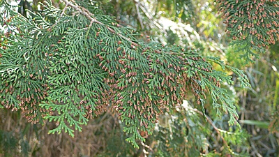 7a87390a.jpg