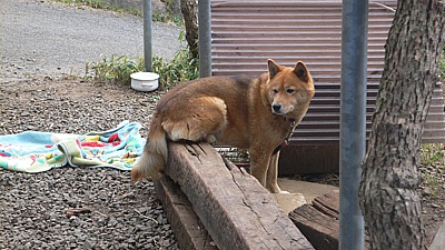 7b3386c2.jpg