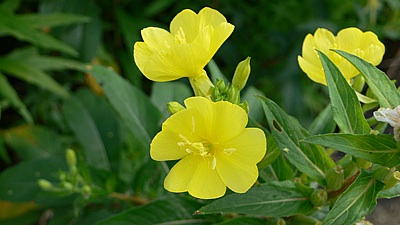 7c4edae1.jpg