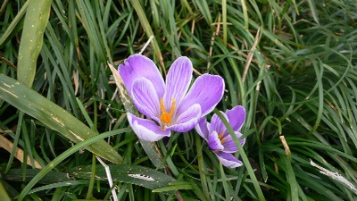 P1150639_resize1
