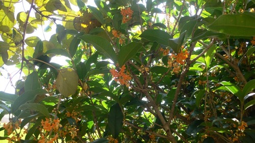 2012-10-21 22:10:45 写真2