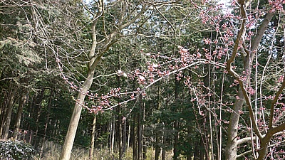 7fd26c53.jpg