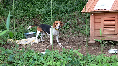 7ffa09e4.jpg