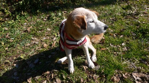 2013-01-05 16:36:18 写真2