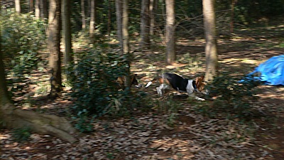 8527f3dc.jpg