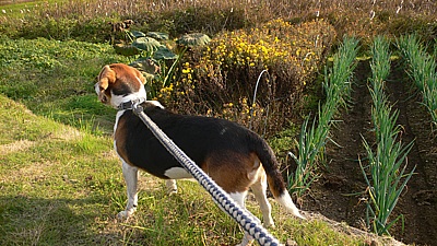 854f7d0c.jpg
