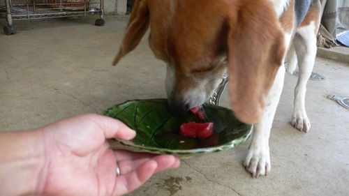 2012-09-18 10:00:15 写真2