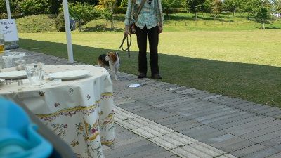P1300525_resize1