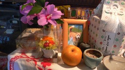 P1280811_resize1