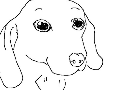 photo_7